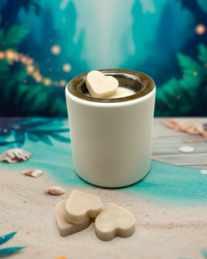 Coffret découverte fondants - "L'île enchantée"